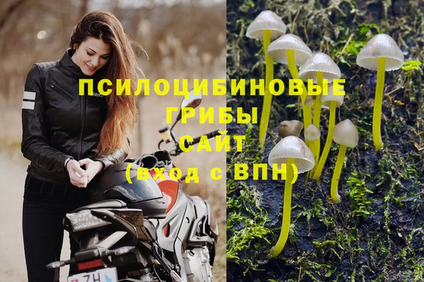 бутират Вязники
