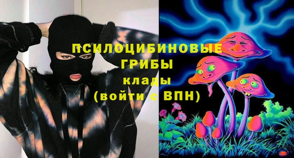 герыч Вяземский