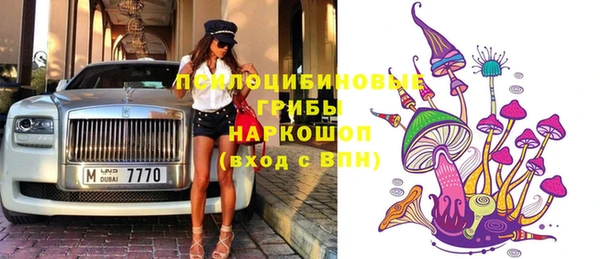 герыч Вяземский